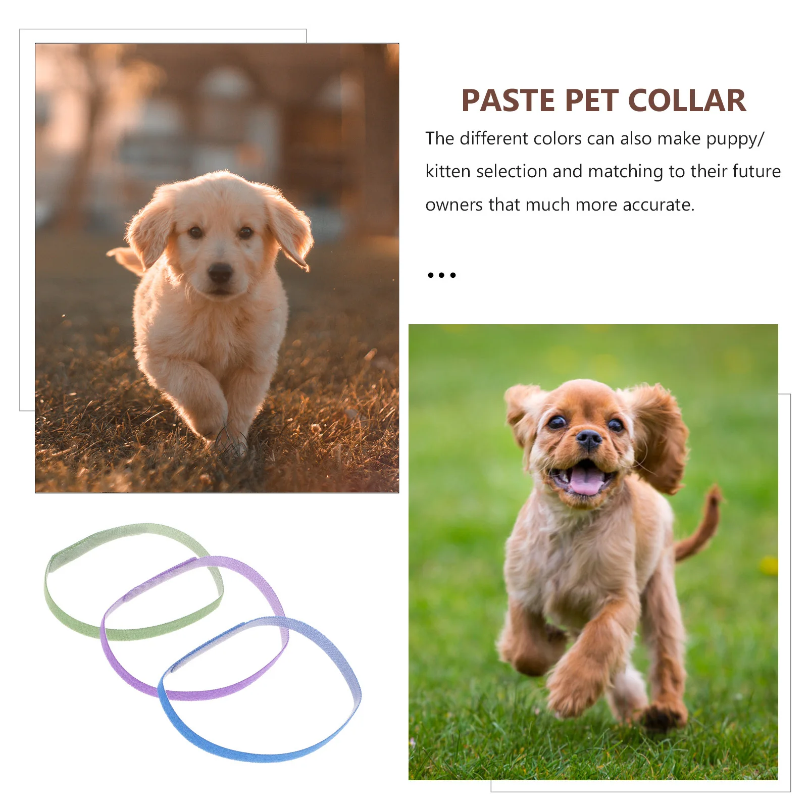 

12pcs 12 Colors Adjustable Dog Puppy Id Neckband Nylon Pet Collar For Small Dogs Assorted Red Green Pet Collar