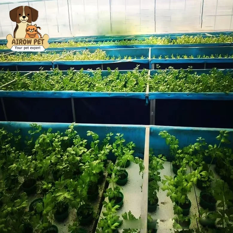 AIROW SDM 2024 New Aquaculture Large Outdoor Artificial Canvas Fish Pond Tanks for Fish Farming