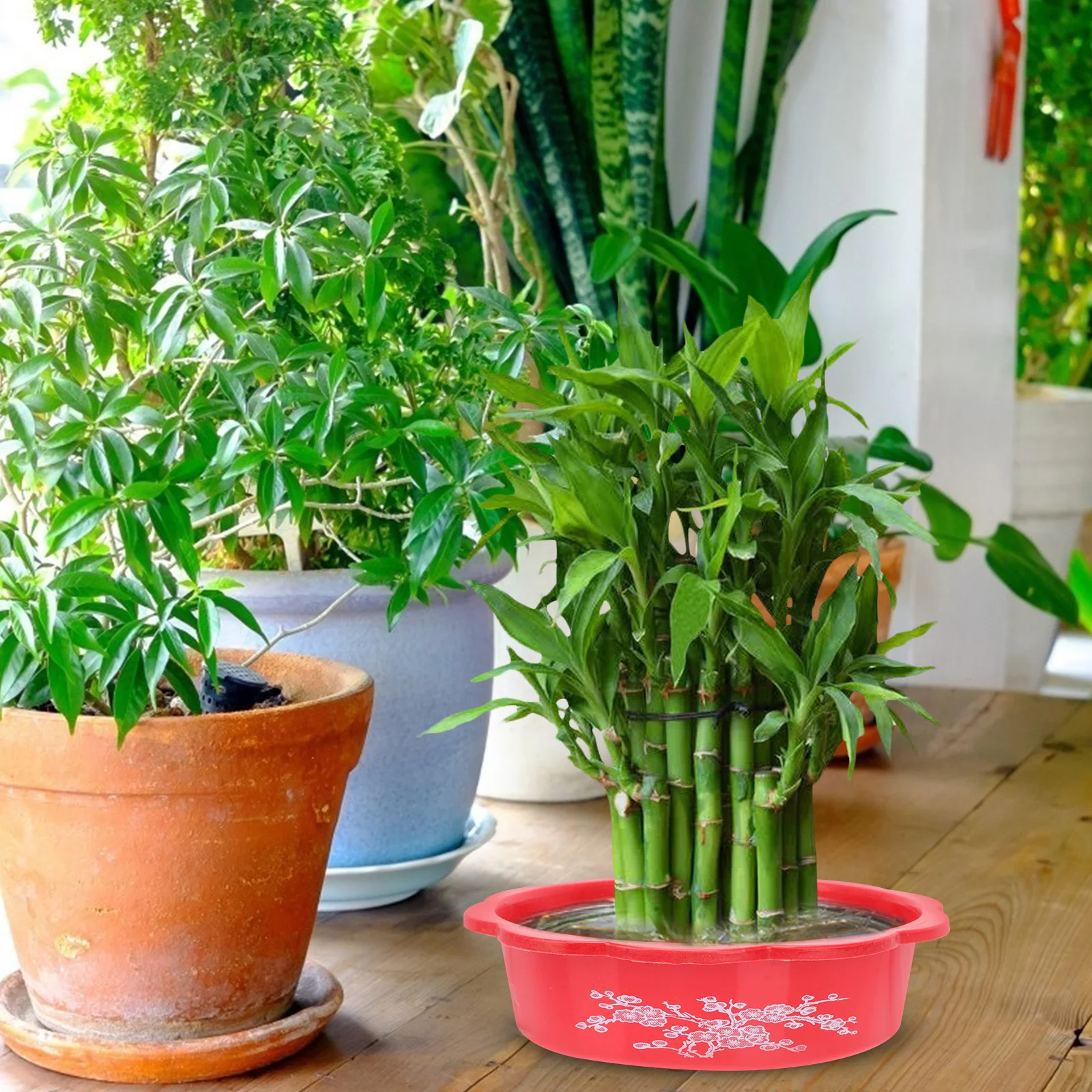 

10Pcs Water Lily Daffodil Hydroponic Plastic Flower Pot Creative Garden Planting Pot Home Decorative Flowerpot for Office