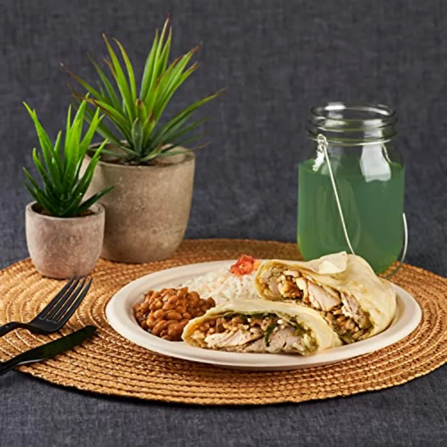 9-Inch Compostable Disposable Paper Plates 500 Pack 3 Compartment Heavy-Duty, Molded Fiber, Eco-Friendly Bulk Package