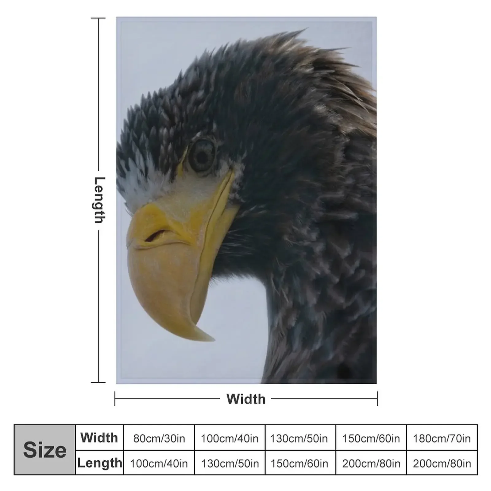 New Steller's Sea Eagle Throw Blanket Custom Plush Blankets For Baby Giant Sofa Blankets