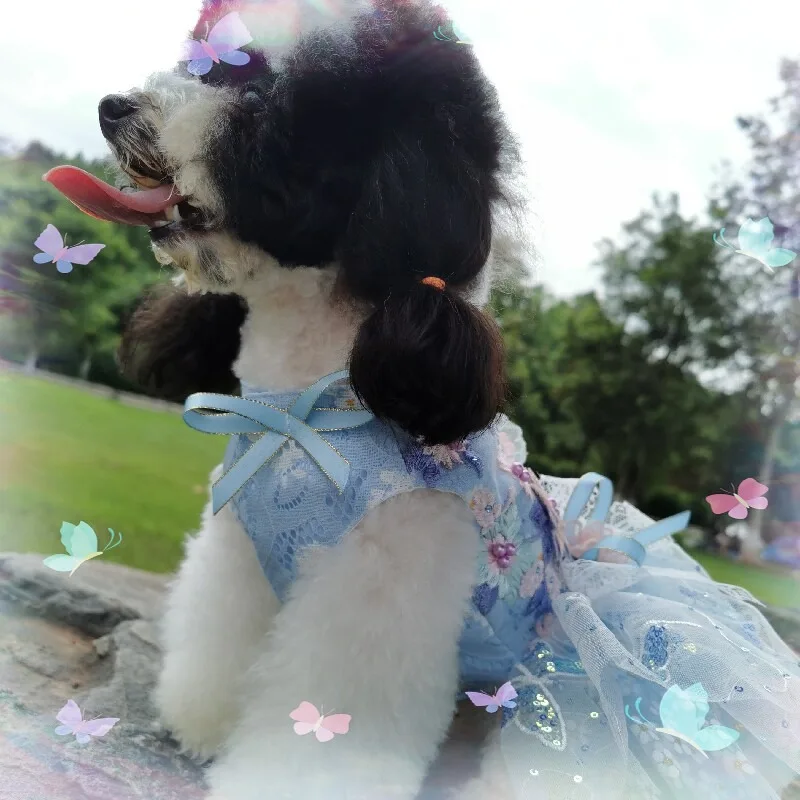 Light Blue Daisy Pet Tutu Dress 3D Flower Lace Sequin Bow Puppy Kitten Wedding Party Photo Shooting Luxury Princess Costume