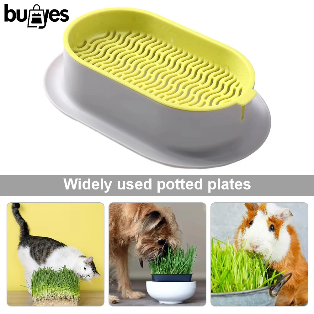 Buyyes гидропонная коробка для кошачьей травы, беспочвенная гидропонная посадка из высококачественного АБС-пластика для кошачьей вечеринки и украшения