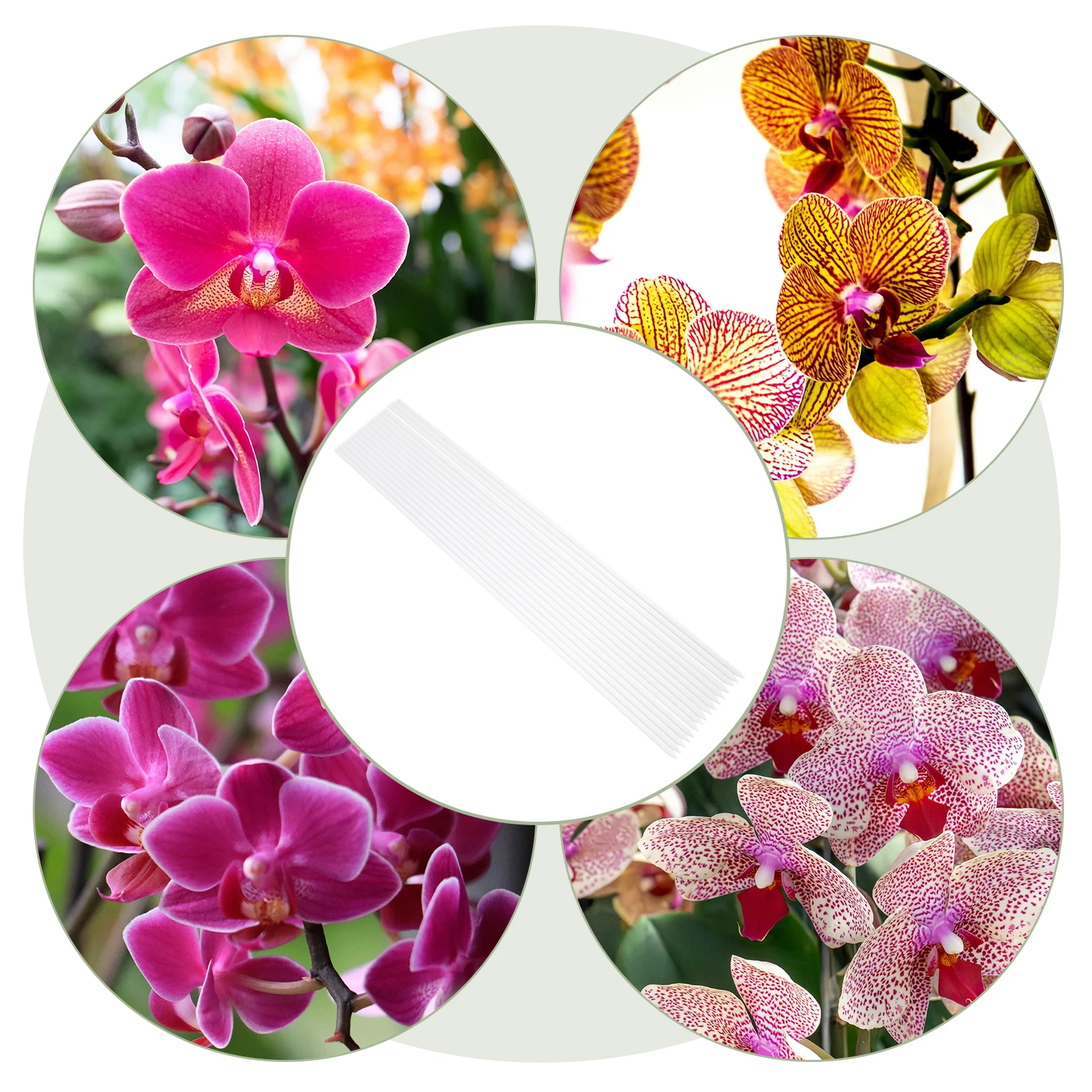 

16pcs Orchid Sticks Clear Acrylic Plant Stakes Transparent Garden Accessories Indoor Outdoor Potted Plants Stem Support Pole