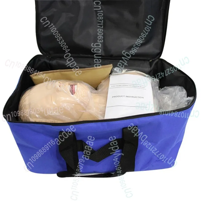 التنبيب القزم دراسة نموذج للتدريس إدارة مجرى الهواء المدرب PVC مع الأسنان 110-220 فولت