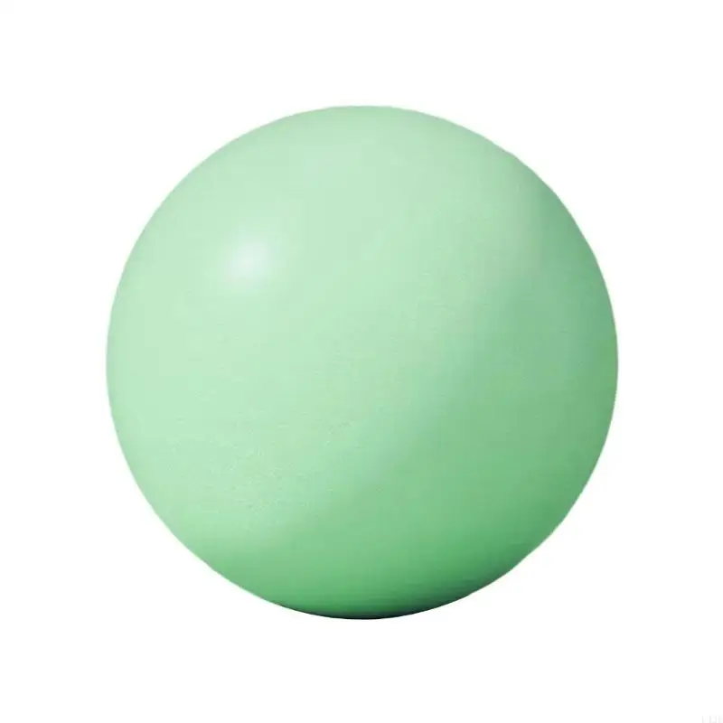 25cm 10Inch Pilates Ball, Small Exercise Ball Mini Yoga Ball Gym Ball for Home Gym Pilates Yoga Balance Training