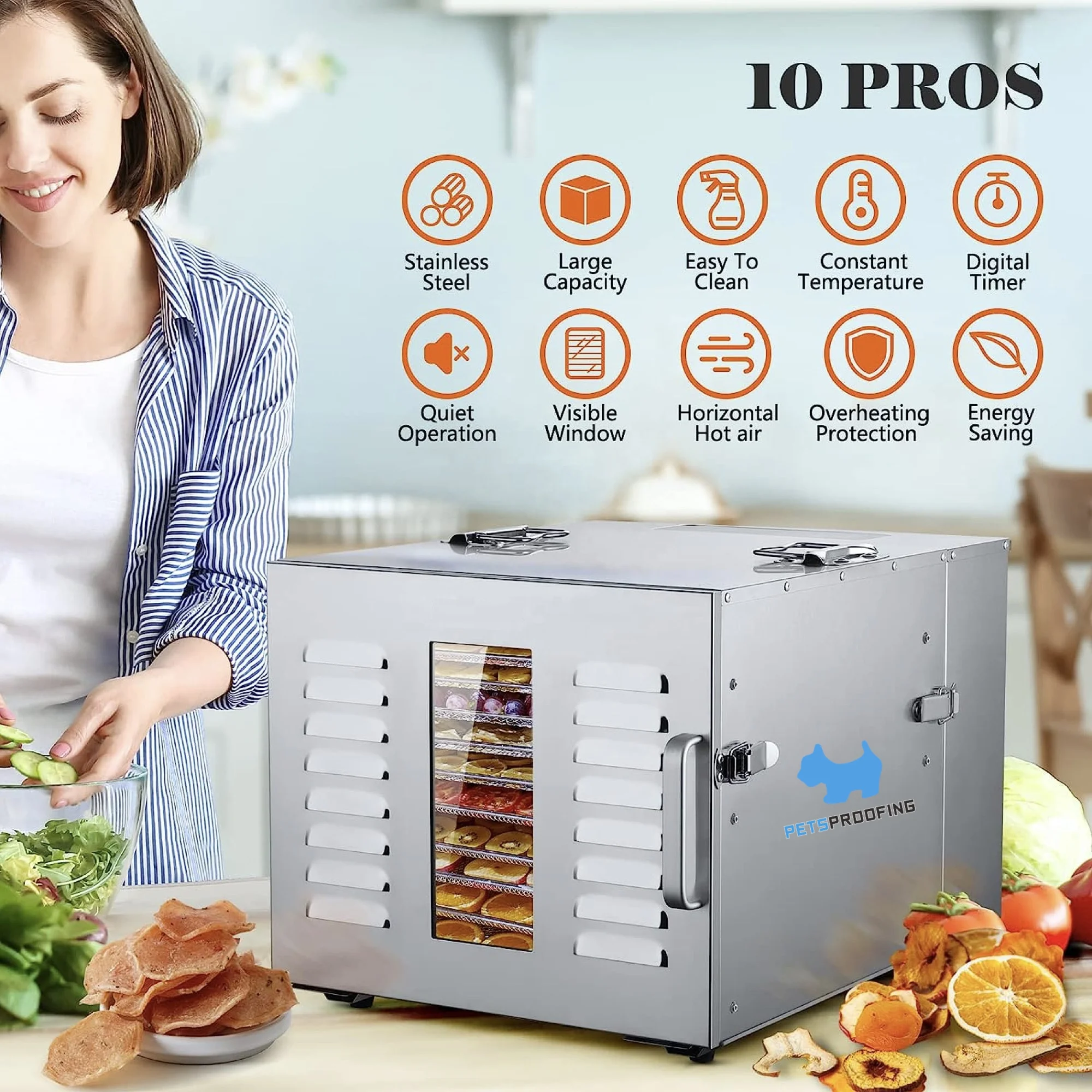 Home Electric Stainless Steel Small Scale 10-Tray Food Dehydrator Dryer for Fruits and Vegetables