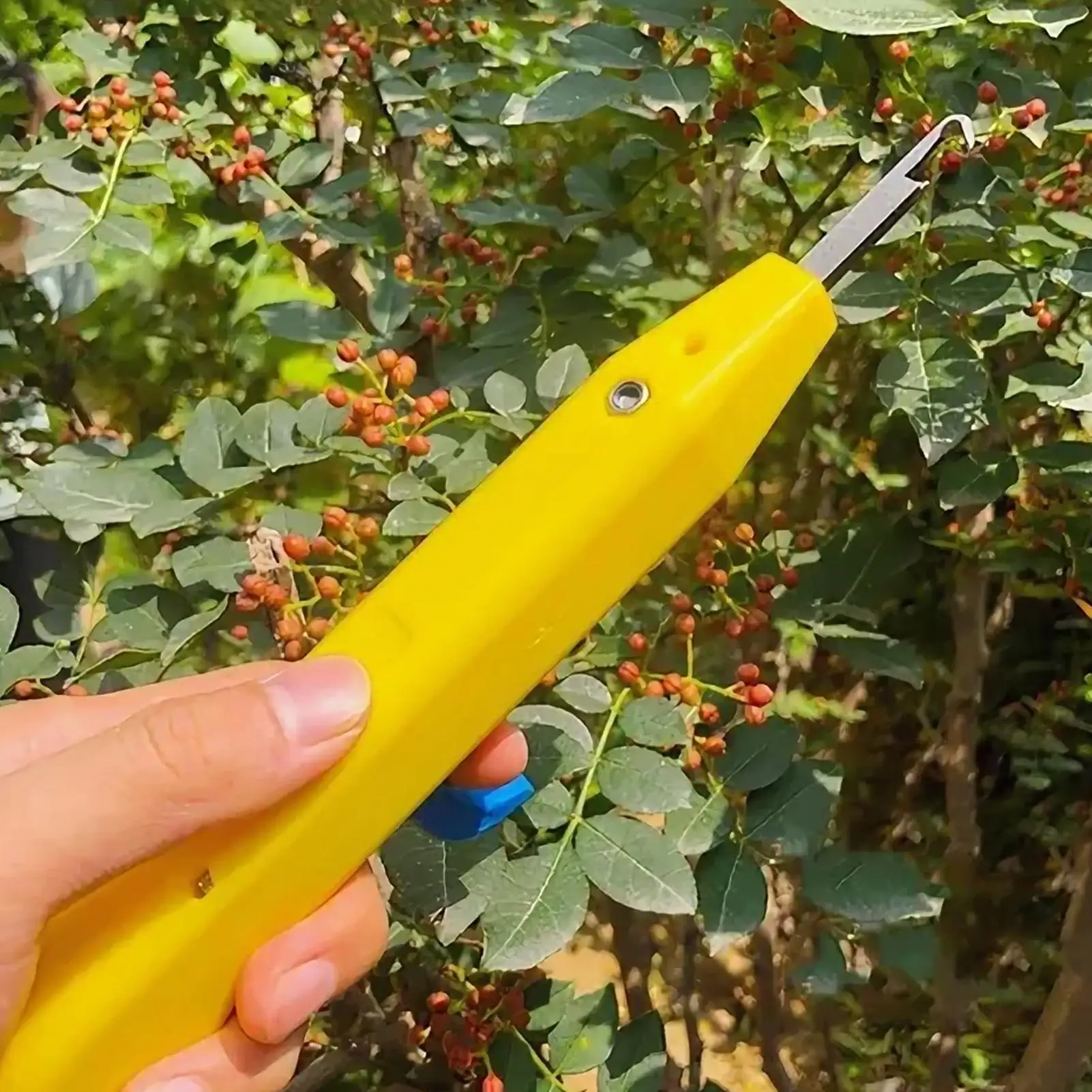 Garden Pruning Shears Handheld Scissors Curved Head Garden Cutters For Tea Branch Gardener Tree Grass Lawn Yard Bonsai Floral