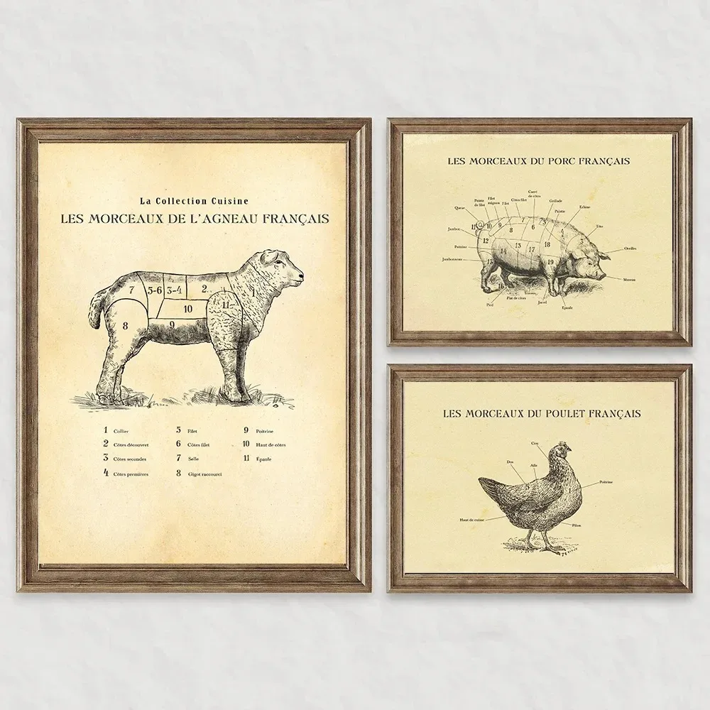 Französisches Rindfleisch, Lamm, Schweinefleisch, Huhn, Schnitte, Metzger, Diagramm, Poster, Druck, Wandkunst, Bilder, Leinwandgemälde, Zimmer, Schlafzimmer, Heimdekoration