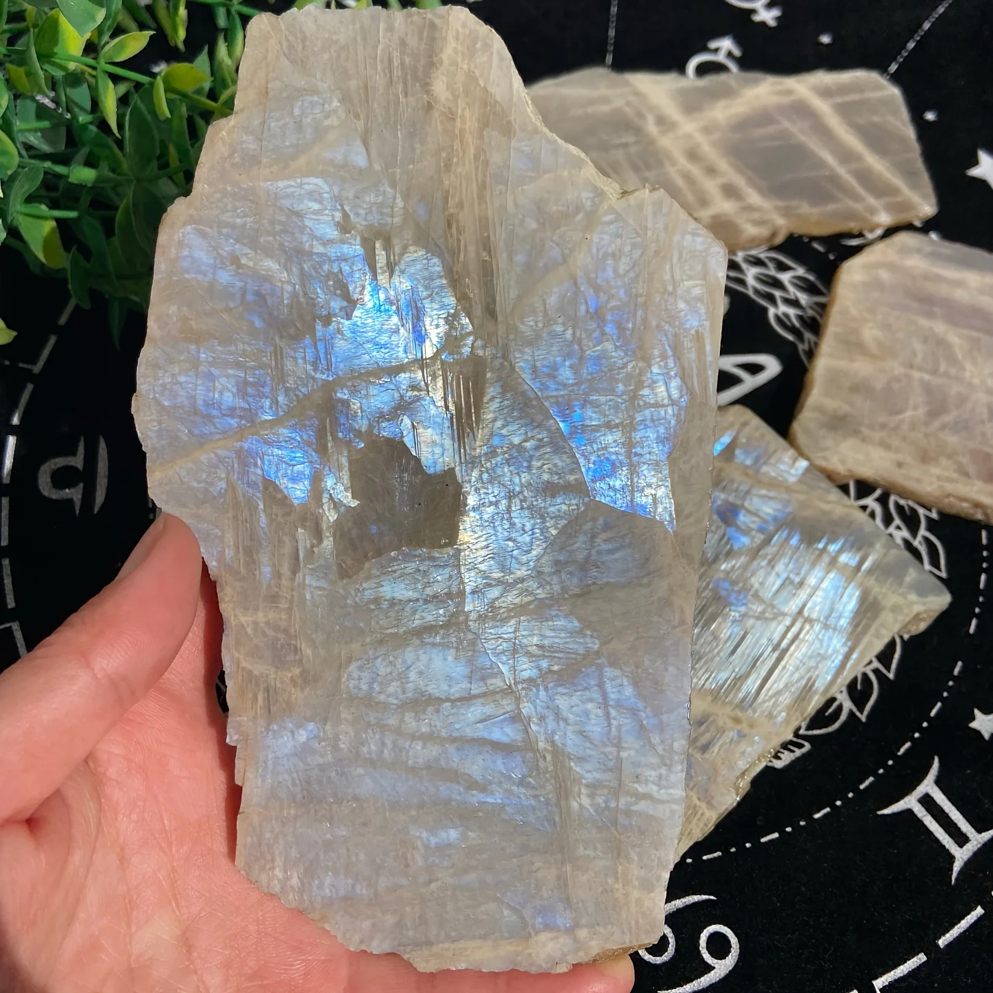 1pc CRYSTALHOLA Blue Moonstone Crystal Slice - Bohemian Style Natural Polished Oval Meditation Stone
