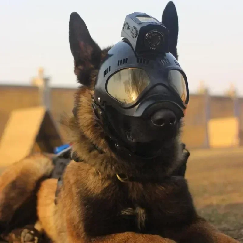 

Helmet K 9 Do G Mask With Go Ggles Glasses 4g Live Streaming Video Helmet Camera , Audio TalkingHot Salescheap And Fine