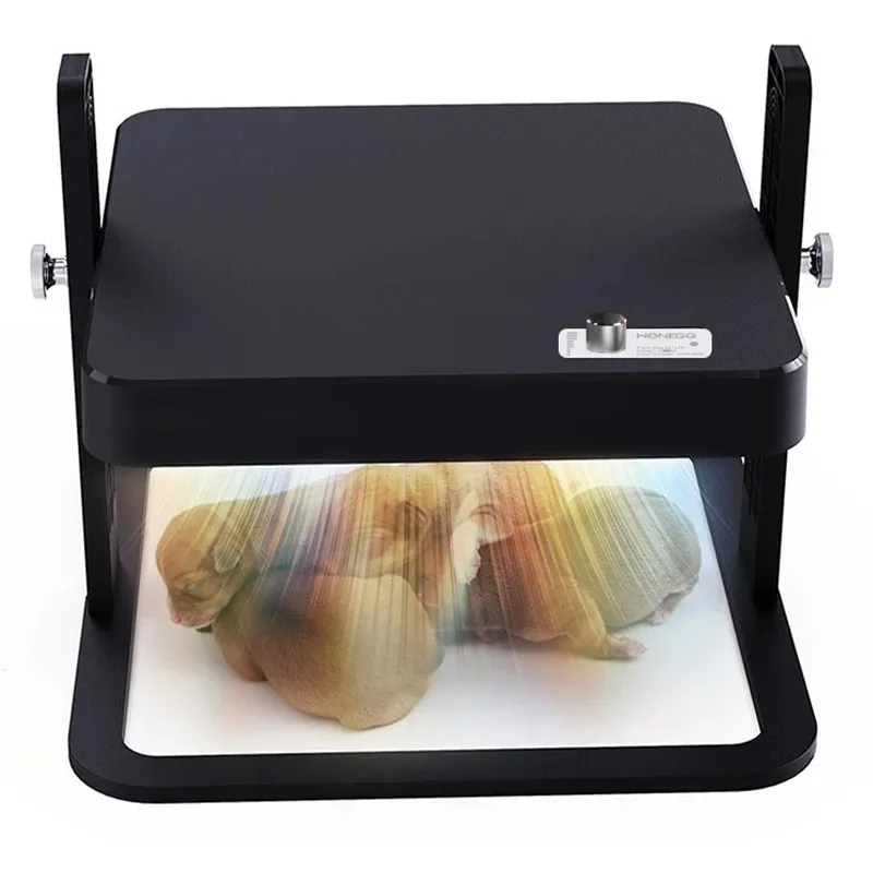 

Small Brooding Kiosk With Pet Heating Heating Plate Safety Temperature Control Intelligent Chicken Heater