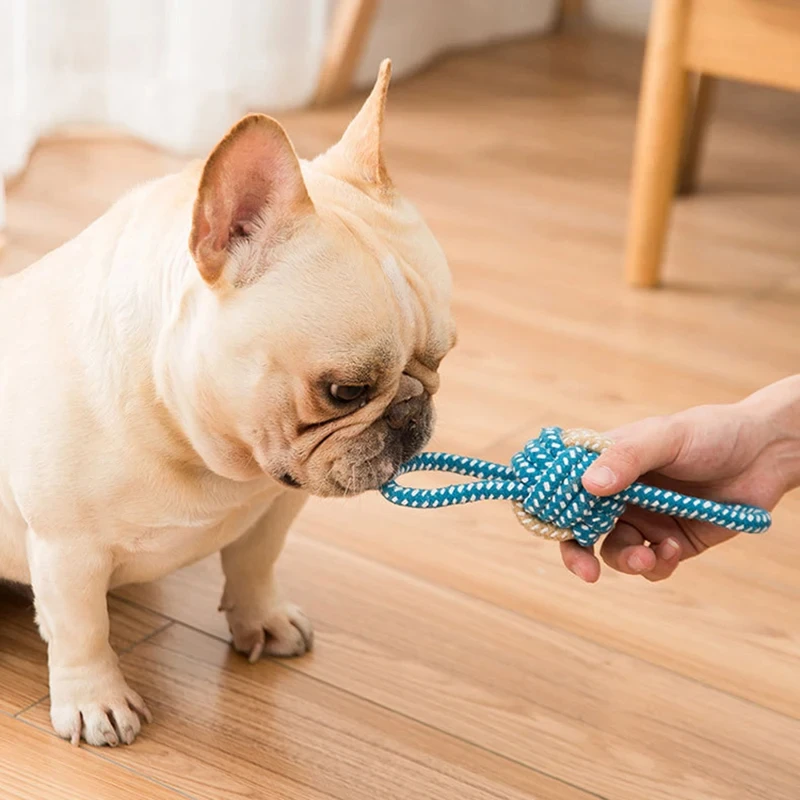 1PC Interactive Cotton Rope Mini Dog Toys Ball Accessories Toothbrush Chew Puppy Toy for Large Small Dogs Toy Pet Dog Toy