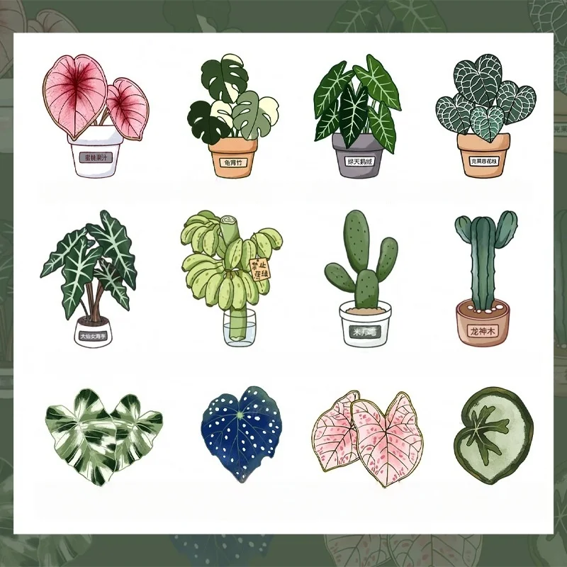 Juego de 12 Imanes de Refrigerador con Diseño Nórdico, Monstera Deliciosa, Cactus, Begonia, Plantas Verdes Simuladas, Imanes para Refrigerador, Decoración del Hogar, Regalo