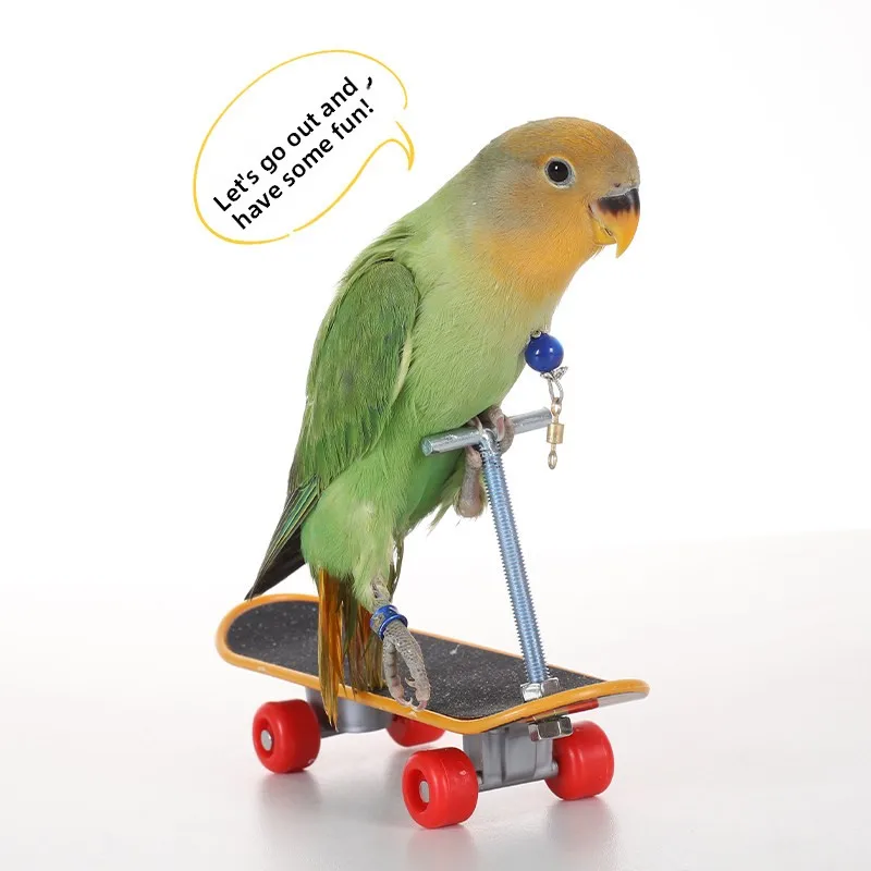 Parrot Intelligence Training Toy, Upgraded Alloy Bracket Finger Skateboard for Budgie Parrot
