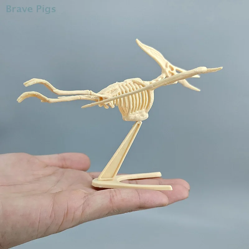 1 Set Kid Toy DIY Assembly Jurassic Dinosaur Fossil Skeleton Mosasaurus Tyrannosaurus Action Figure Collection Creative Model