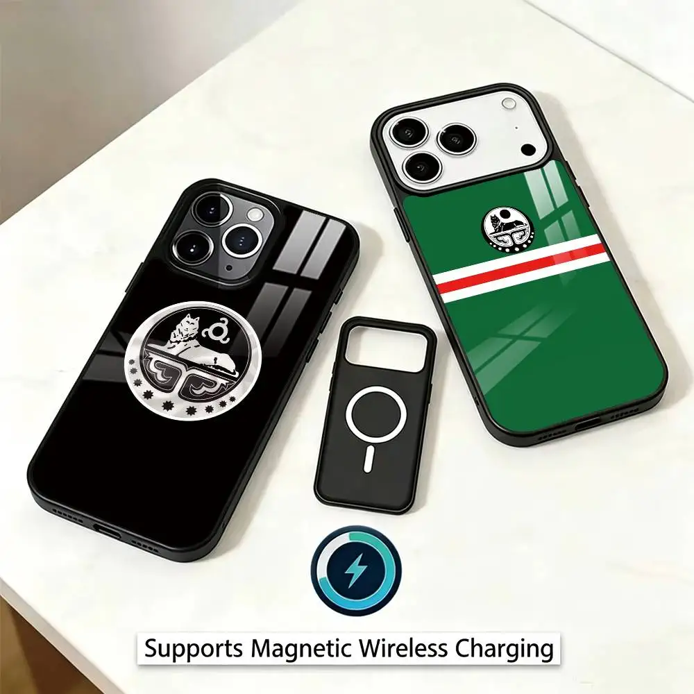 Chechen Coat Of Arms Phone Case For iPhone17,16,15,14,13,12,11 Plus,Pro Magnetic Supports Magnetic Wireless Charging