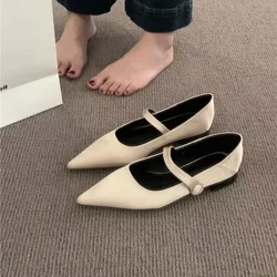 2024 Wysokiej jakości buty damskie Pointy New Women's Flats Outdoor Loafers Pointed Toe Solid Shoes Female Casual Flat Shoes