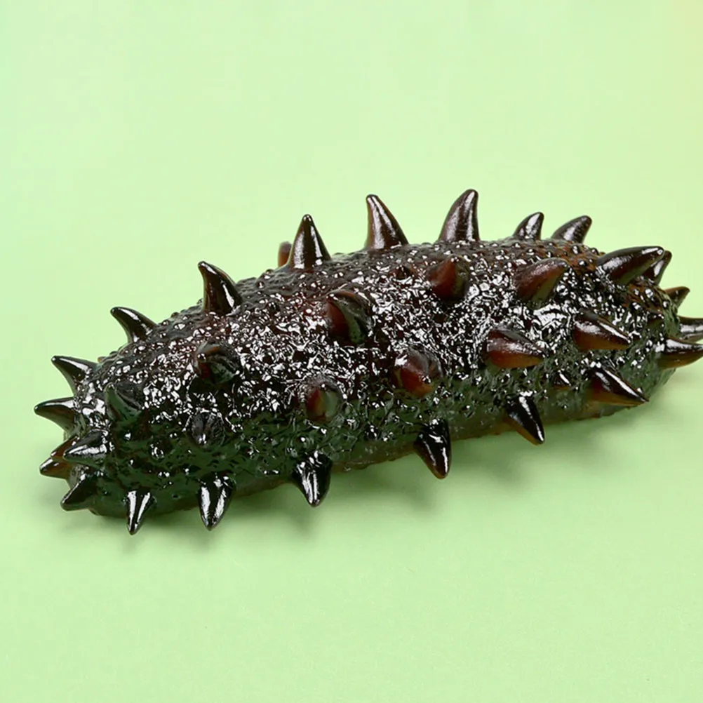 

Realistic Artificial Sea Cucumber Decor for Display Simulation Trepang Educational Props Cabinet Home Office Hotel Bar