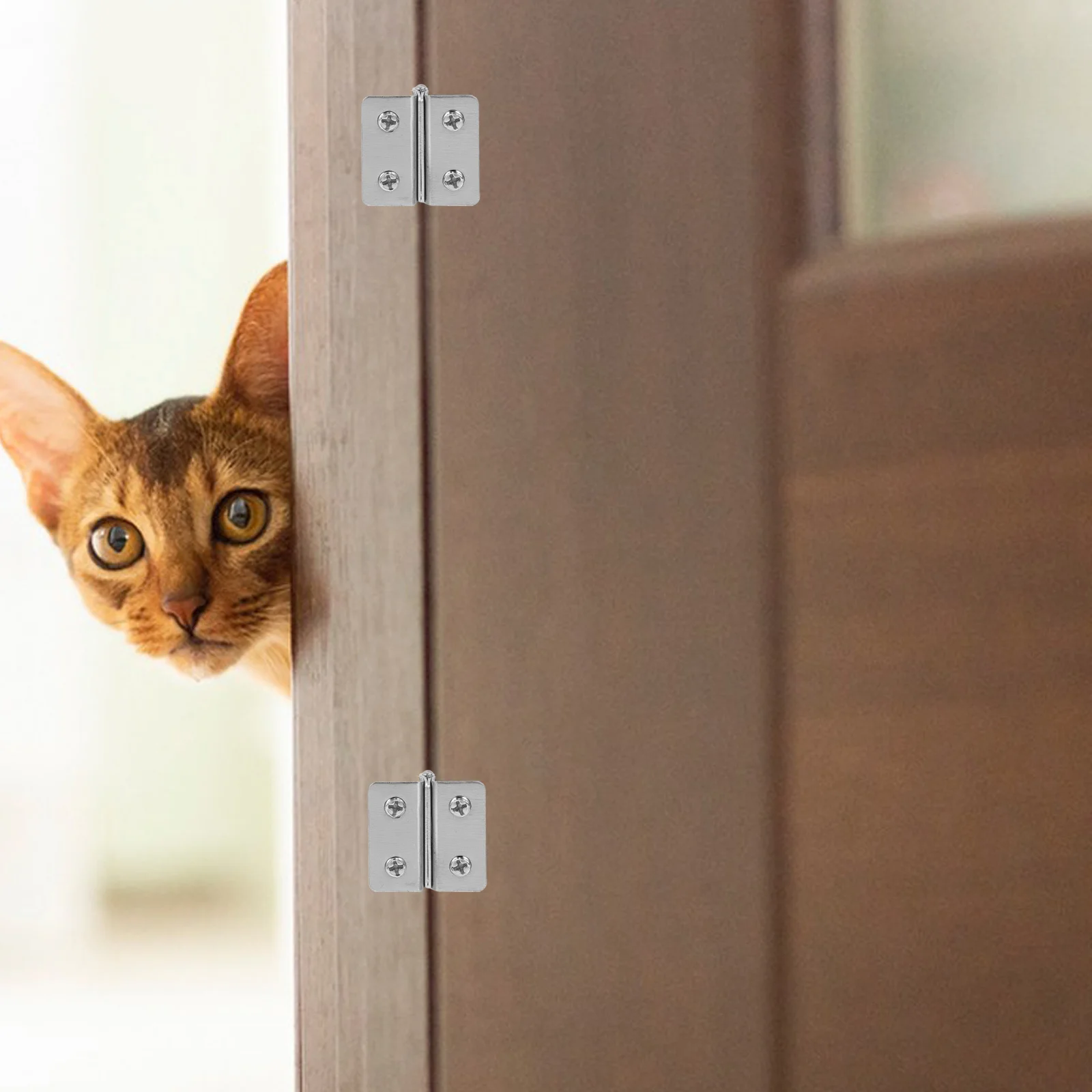 Cerniere in acciaio inossidabile da 2 pezzi, doppio morsetto regolabile per porta in vetro, vetrina, mobili per armadietti del vino