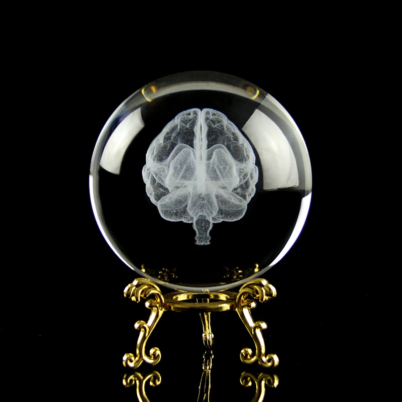 Hot Sell Medical Souvenir Brain Crystal Ball Human Organ Cerebrum Miniature Model Home Decoration Ornaments Hospital Decor