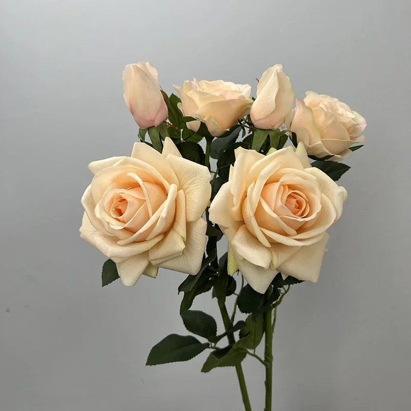 

Simulation Flowers Real Touch Dauphin Roses Floral Holiday Party Decor Artificial Rose Branches Brown Flower Hall Decoration