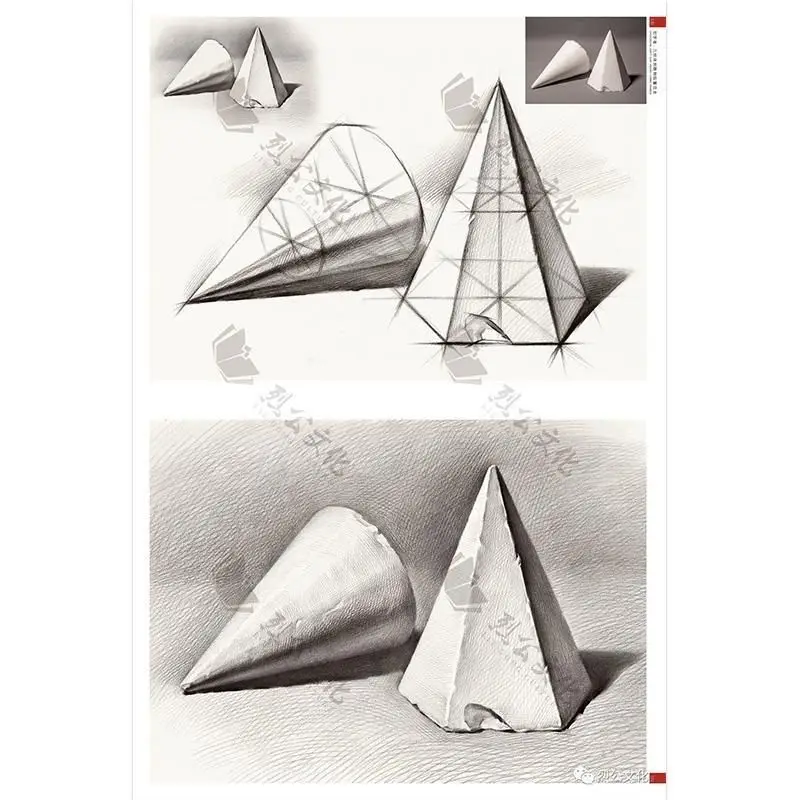 Spot beginner sketch Still Life Super System 2020 Liegong Culture Li Weili Gold Medal Teaching Plan Basic Sketch