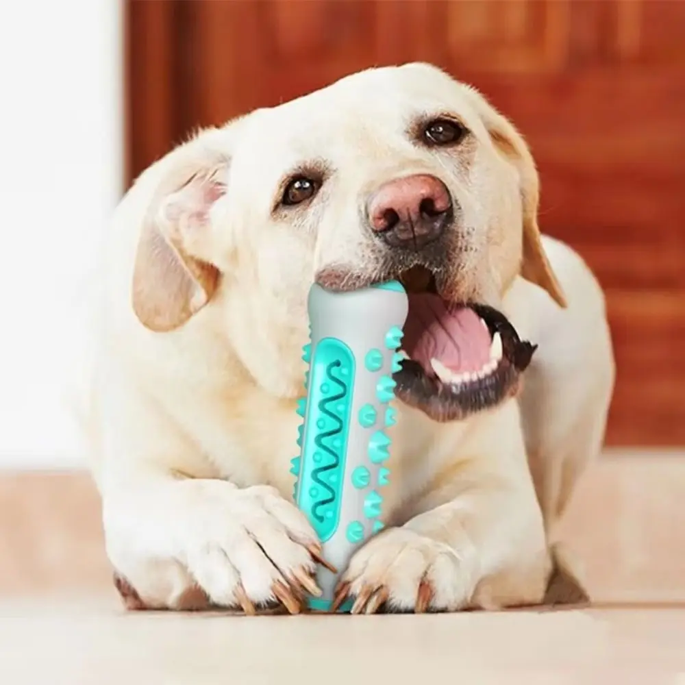 

Interactive Dog Toy TPR Dog Teeth Grinding Stick Bite Resistant Bones Shape Puppy Cleaning Toy Non-slip Dog Toothbrush Pet Gift