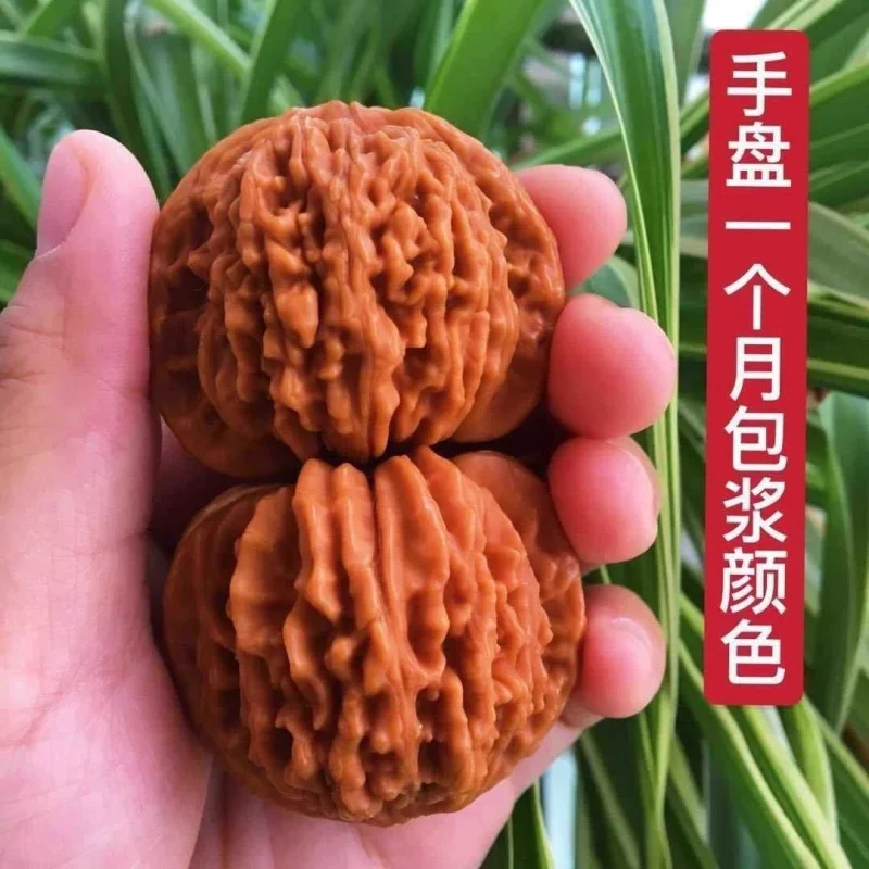 Walnut, White Lion, Ingot,, Qilin Pattern, Official Hat, Grinding Wheel, Four-Building, Golde