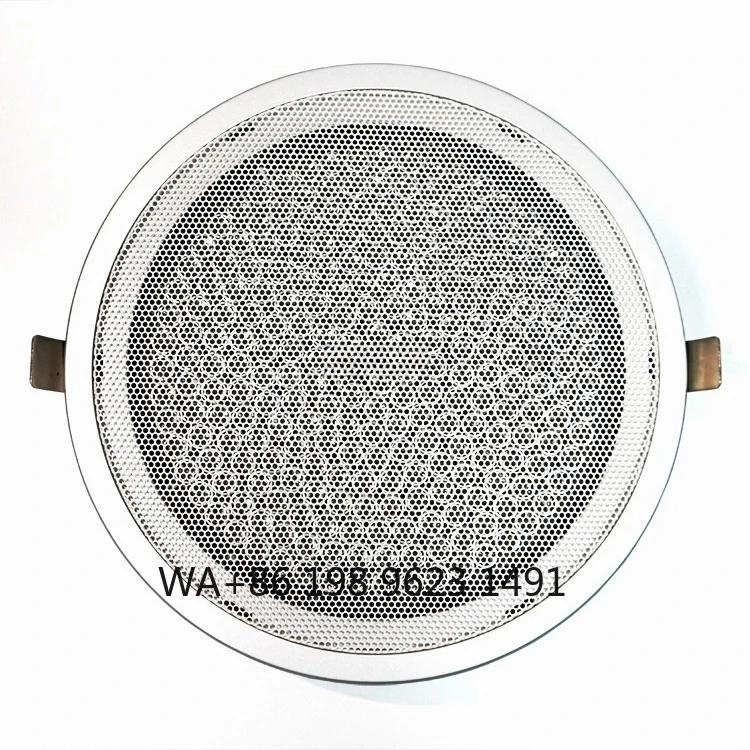 Ceiling‑Mounted Parametric Directional Speaker Minimal Sound Leakage High Fidelity Audio for Indoor Commercial Use