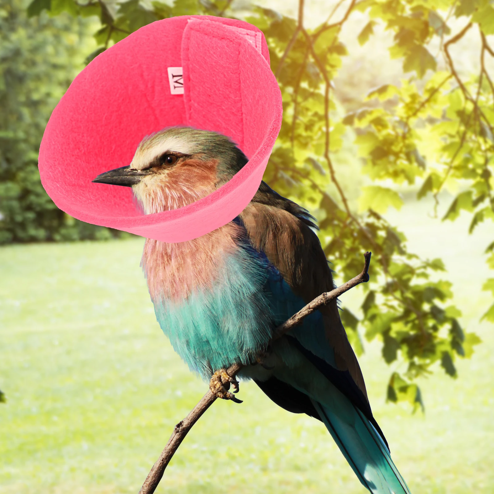 

Anti-biting Collar Lightweight Breathable Reusable Bird Cone Protector Prevent Pecking Injuries Parrot Neck Band Red Felt