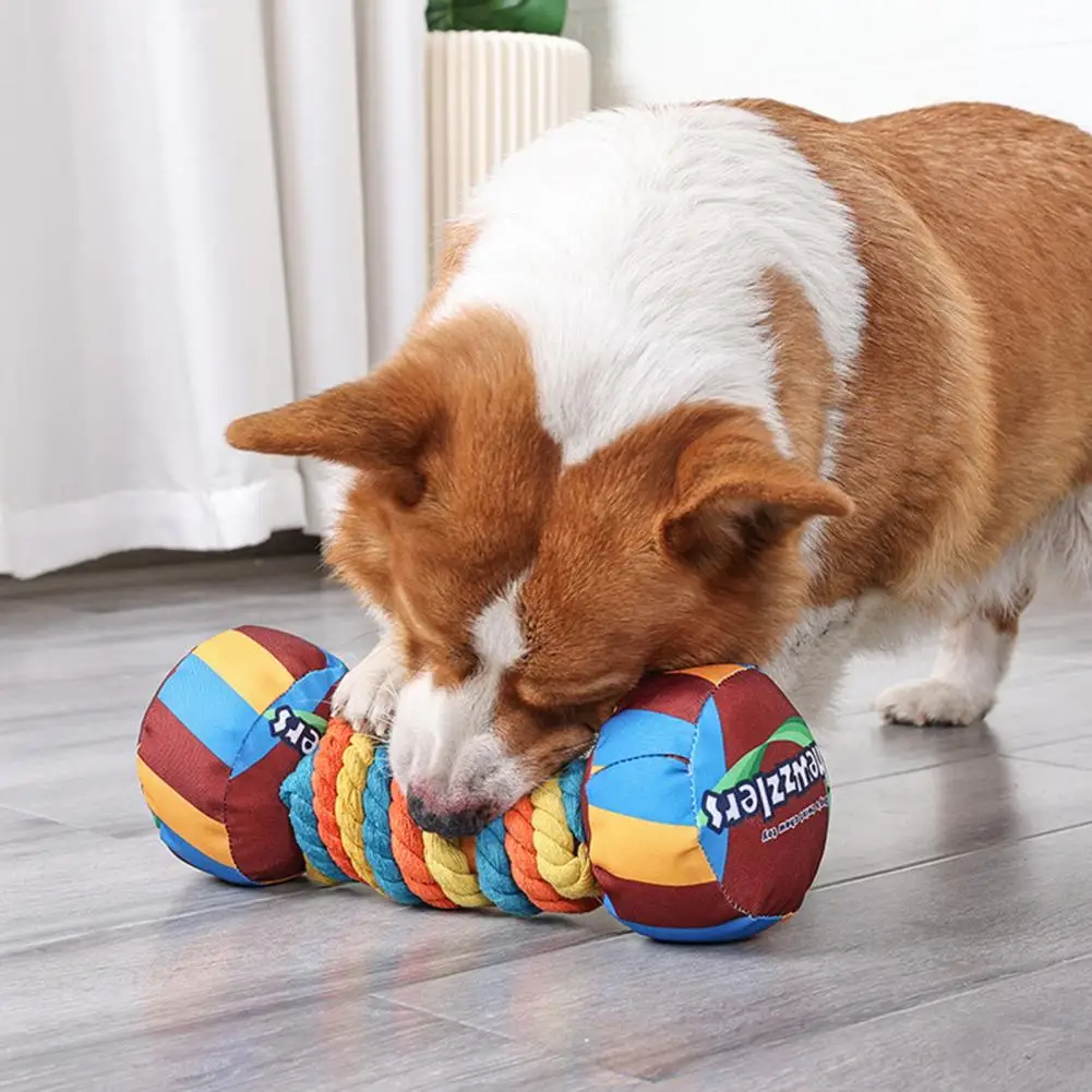 Mancuernas de arcoíris para perros, juguete de dentición resistente a las mordeduras, dientes duraderos, suministros para mascotas, tacto cómodo