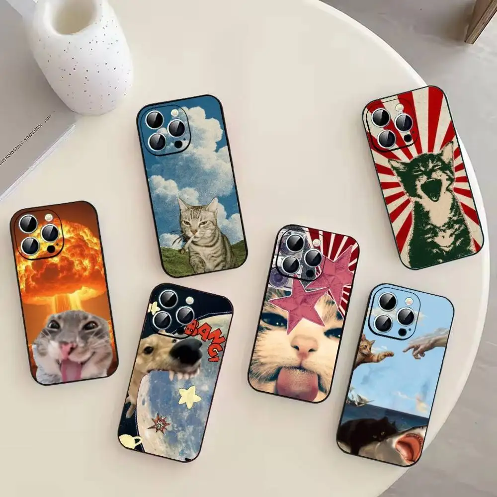 Cute Pet Cat memes Phone Case For iPhone 17,16,15,14,13,12,11 Plus,Pro Max,XS,Soft Silicone Black Cover