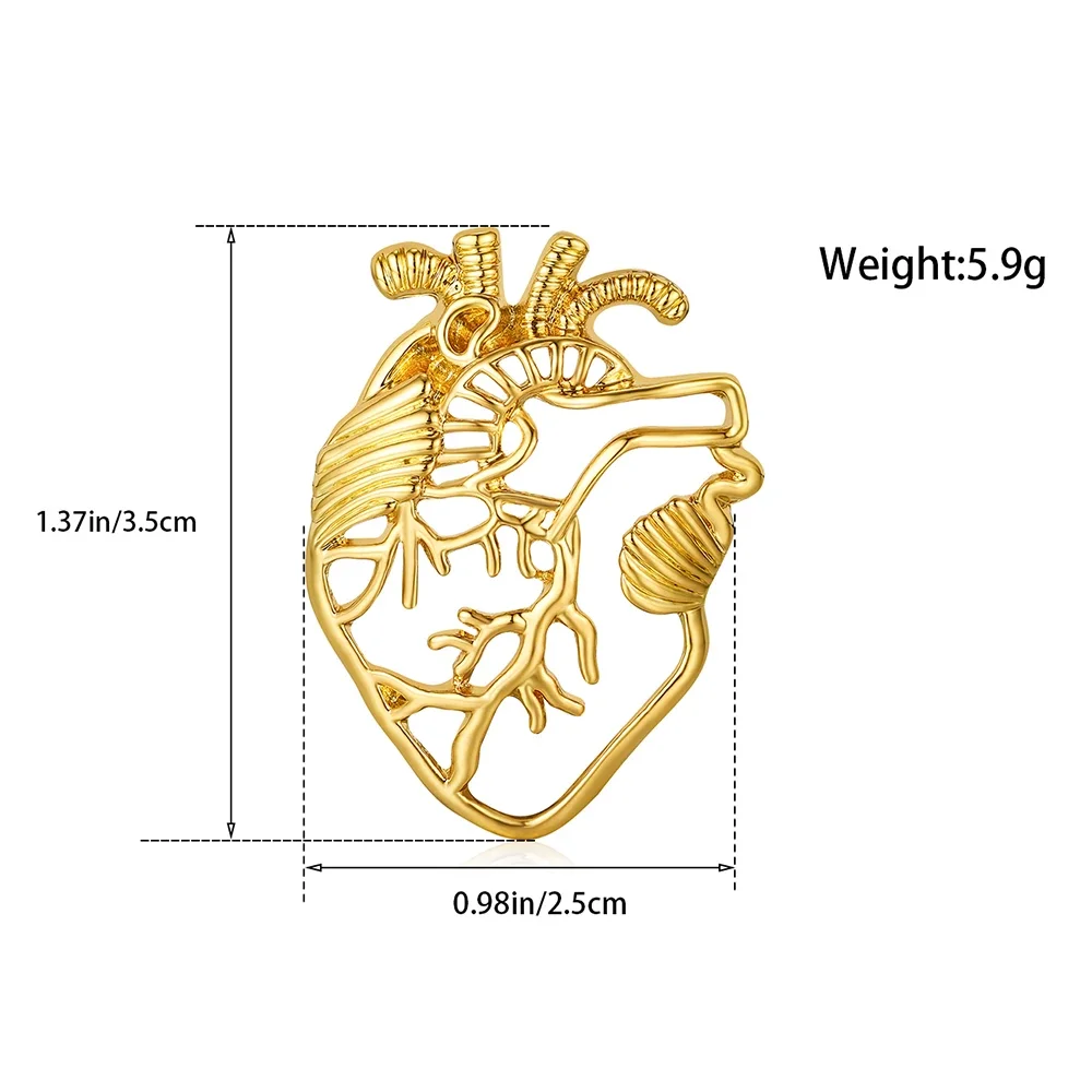 DCARZZ Anatomy Heart Brooch Medical Cardiology Jewelry Backpack Lapel Bag Organ Pin Badge for Doctor Nurse Cardiologist