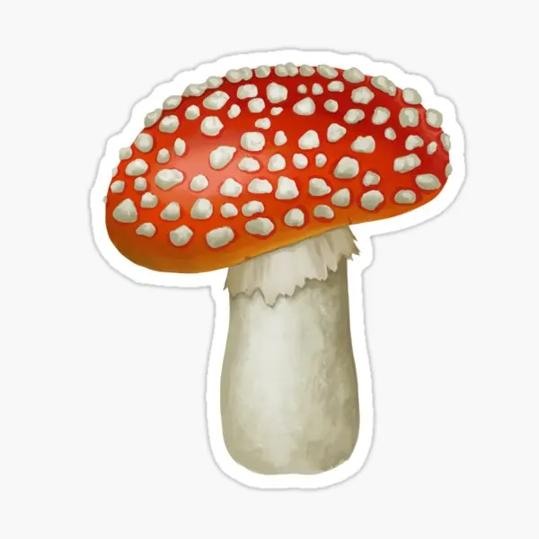 Amanita Muscaria  10PCS Stickers for Decorations Luggage Anime Wall Funny Background Stickers Cute Decor  Living Room Laptop