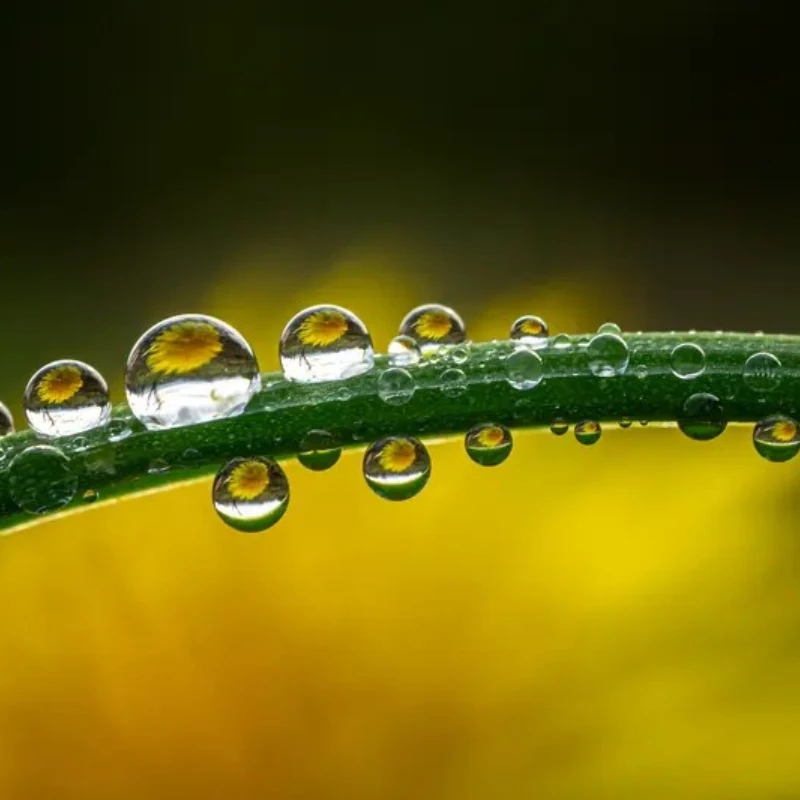 

JX PDI-2535MG 25g Waterproof Metal Gear Micro Digital Coreless Tail Servo for RC 450 500 Helicopter Fixed-wing Airplane