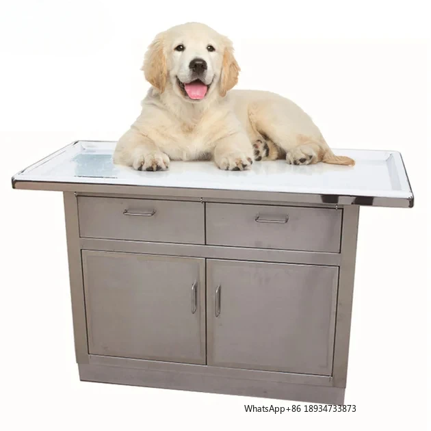 Veterinary stainless steel pet Exam table with drawers animal diagnosis platform puppy dog treatment disposal cabinet