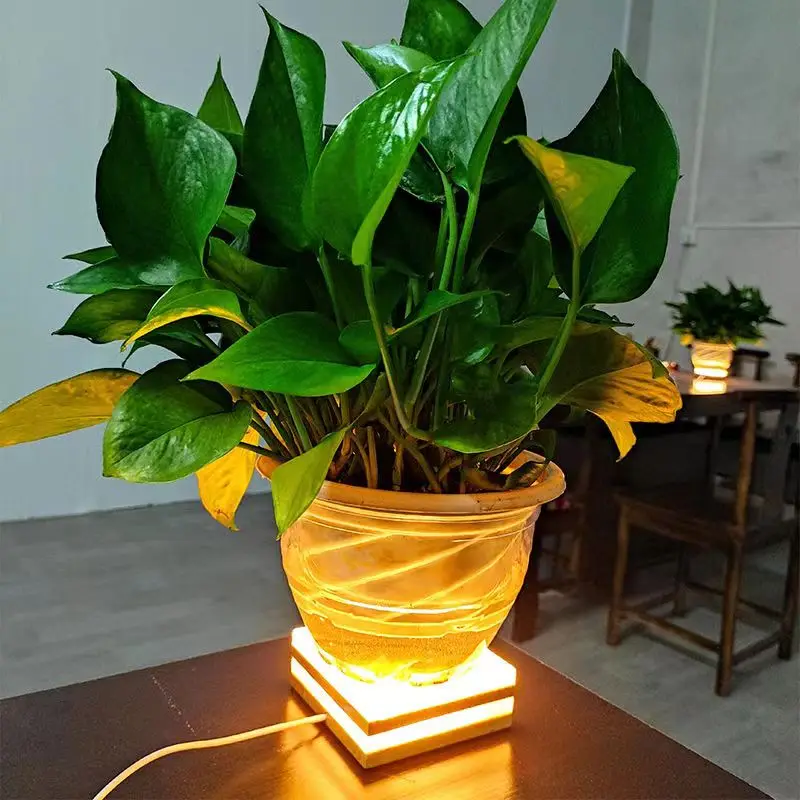 Luz LED de noche laminada personalizada, lámpara de atmósfera acrílica de madera USB creativa, Base DIY para botella de trofeo de planta