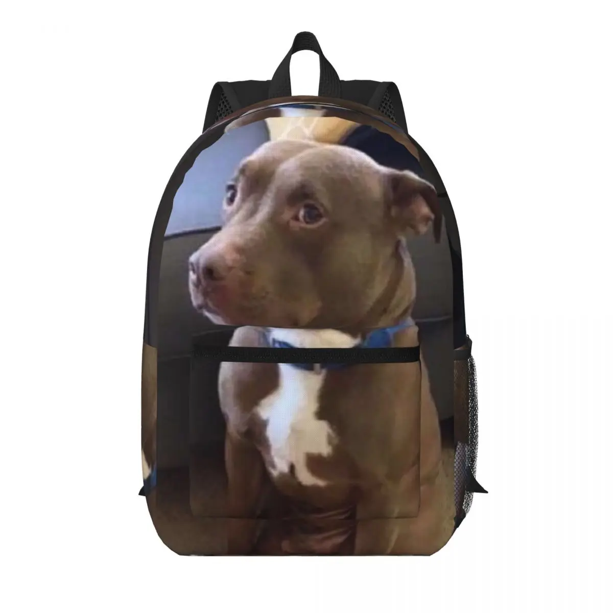 Dog Sitting Gay Student Backpack School Bag Hiking Travel Daypack for Men Women Bookbag Shoulder Bags