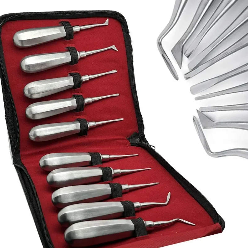 10Pcs/set Dentist Tools Set Dental Extraction Elevator Kit Straight Curved Root Lifter Dental Lab Instruments