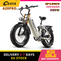 CEAYA A20PRO Electric Bike 20” Fat Tire E-Bike With 48V/20Ah Battery 7 Speed E Mountainbike Adults Men & Women