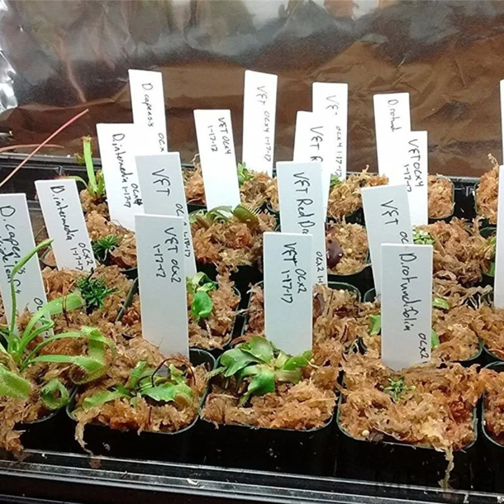 

100Pcs Plastic Plant Labels Weather Resistant Fade Proof Garden Markers for Pots Beds Nursery Plant Tag Stakes