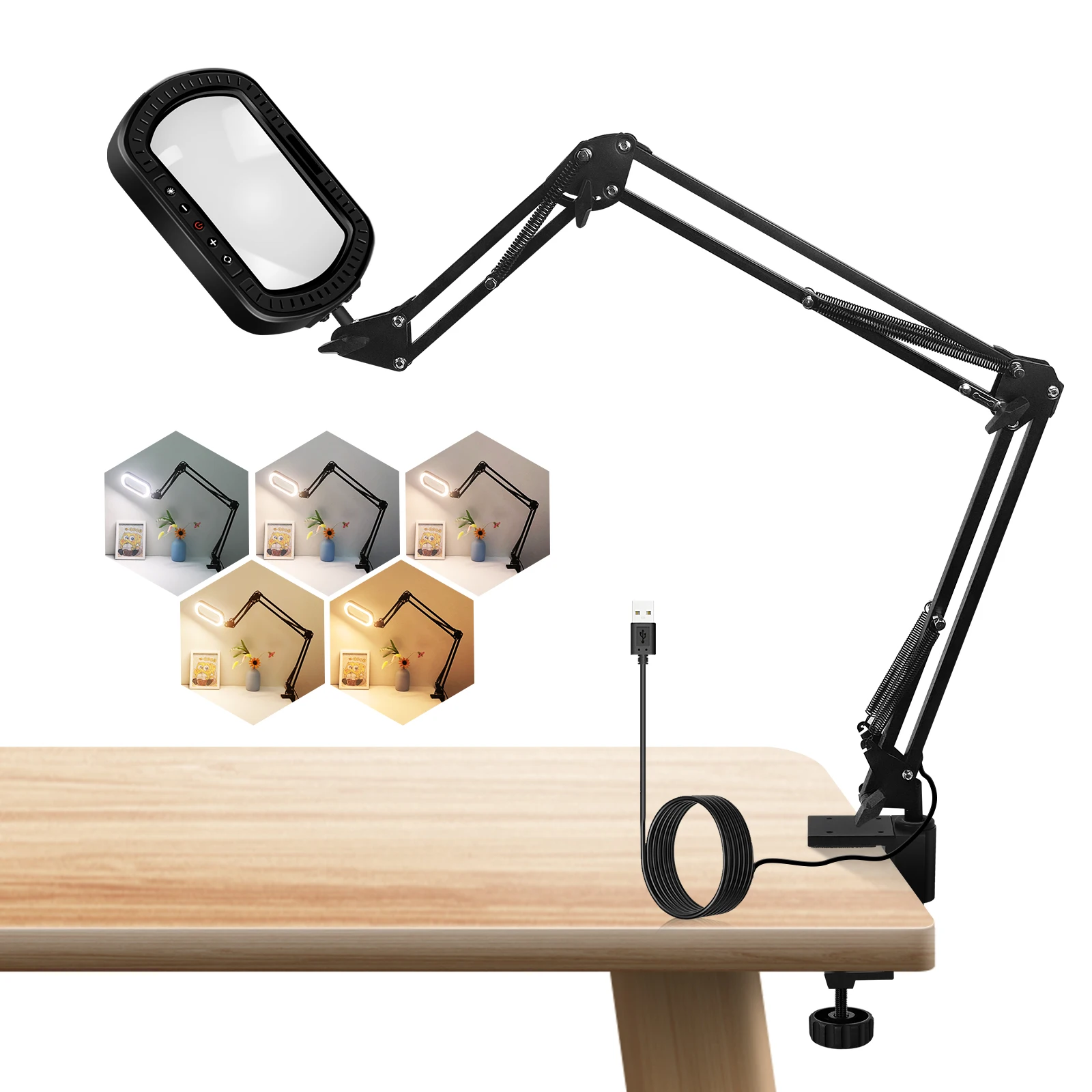 yZ[zNEWACALOX 3X `ዾ Cgt/{̃KX/5 J[[h iK\ȃfXNv XCOA[t Readi p