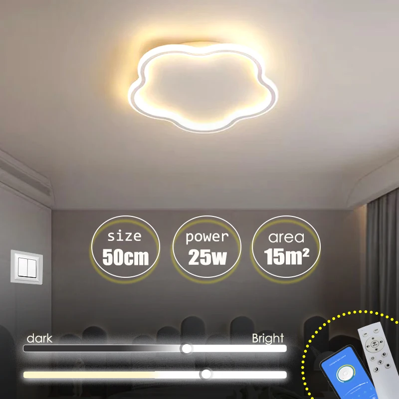 Modern LED ceiling lights, bedroom decoration, ceiling lights, hotel indoor remote control, smartphone intelligent dimming light