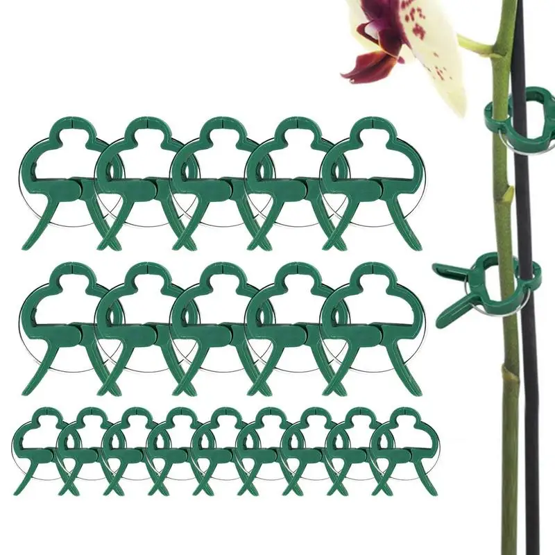 Plant Clips 20PCS Gardening Lever Loop Gripper Clips Help Stems Grow Straight Upright 2 Sizes InPack Garden Accessories