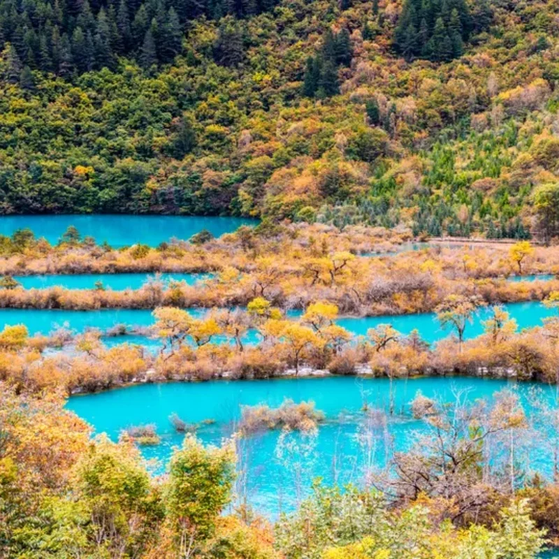 

Axisflying Argus Pro F7 55A/65A Stack IP54 Waterproof X8 16MB Blackbox 30.5x30.5mm for FPV Freestyle & Long Range