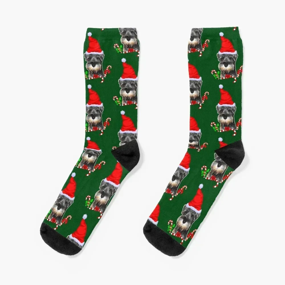 Calcetines de regalo de Navidad Schnauzer en miniatura, venta al por mayor, calcetines transparentes para hombre y mujer