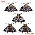 PE7972CT