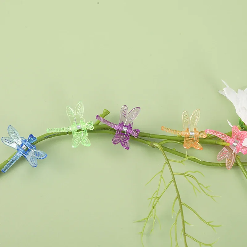 Mixed Orchid Clips, Reusable Plastic Clip, Support Flower Vine, Dragonfly Clamps, Garden Plant Ornamental Clips, 30Pcs