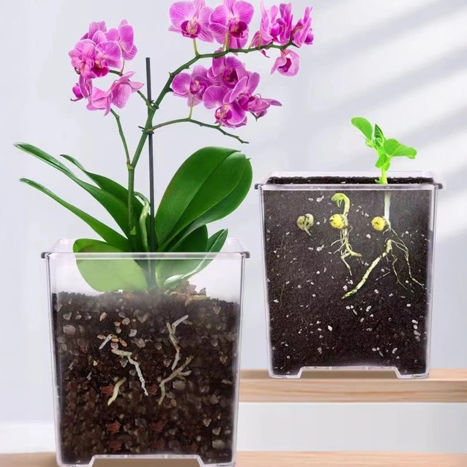 

Clear Nursery Pots with Tray Acrylic Orchid Pot with Drainage Holes for Windowsills Desks and Shelves